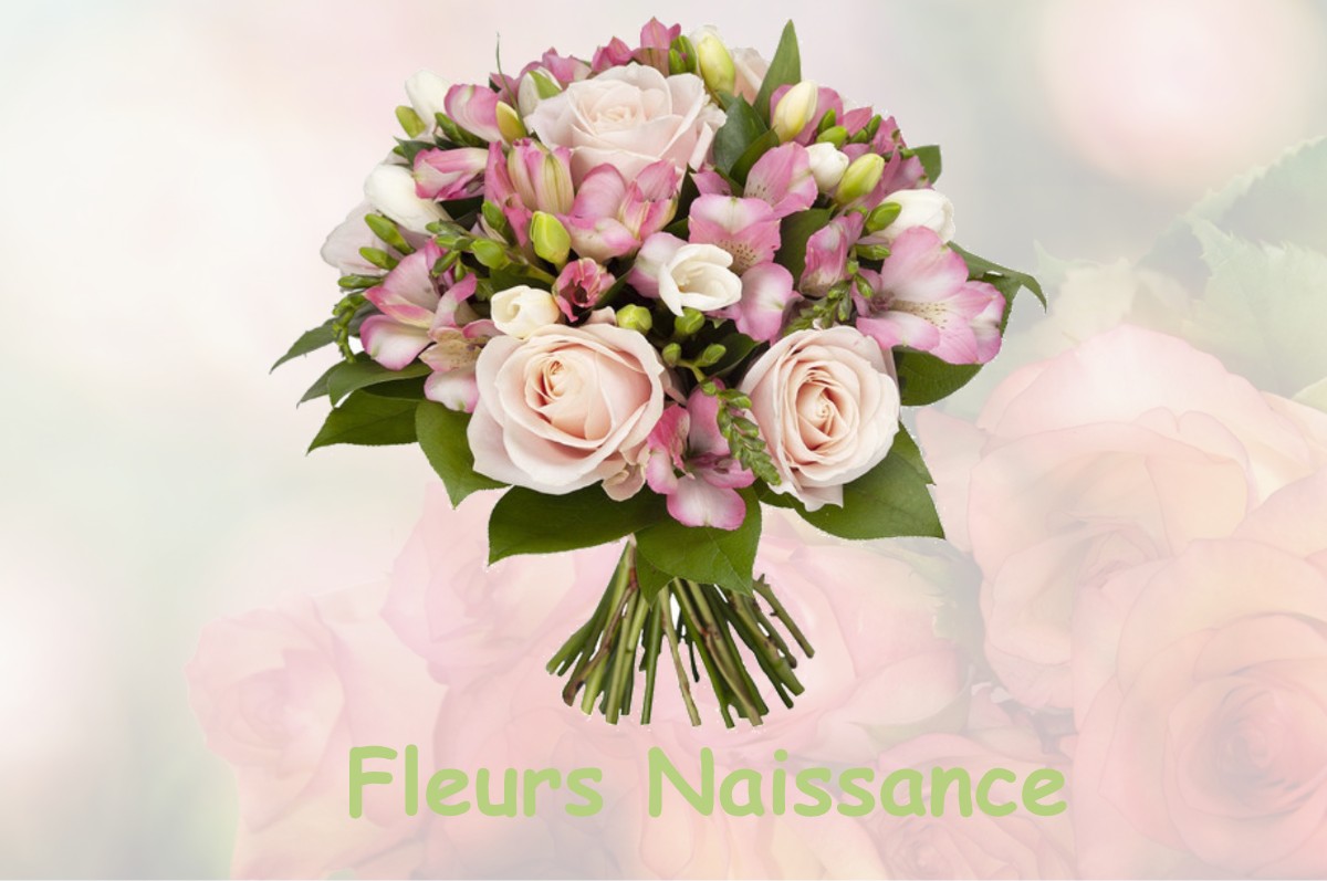 fleurs naissance BLANZAY-SUR-BOUTONNE